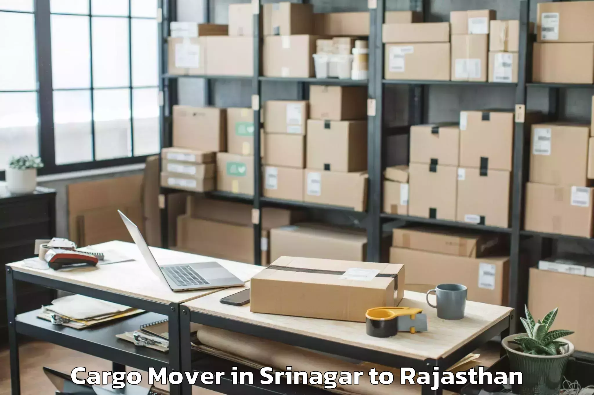 Professional Srinagar to Viratnagar Cargo Mover